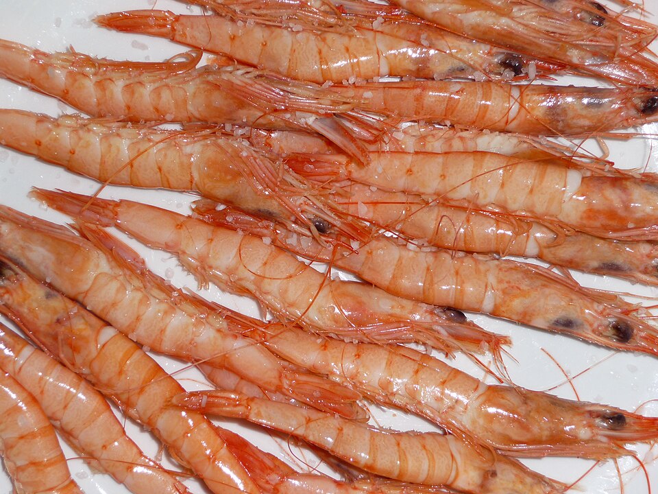 Deep-sea pink shrimp