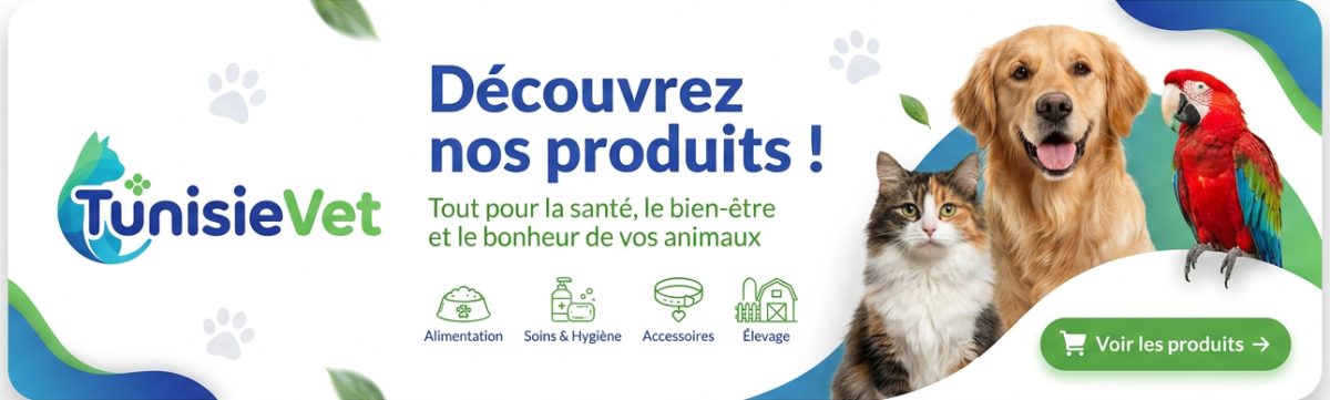 Discover our pet products