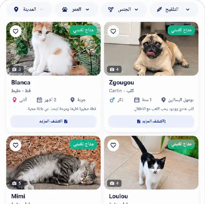 Adopt a pet