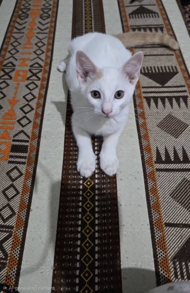 Blanco