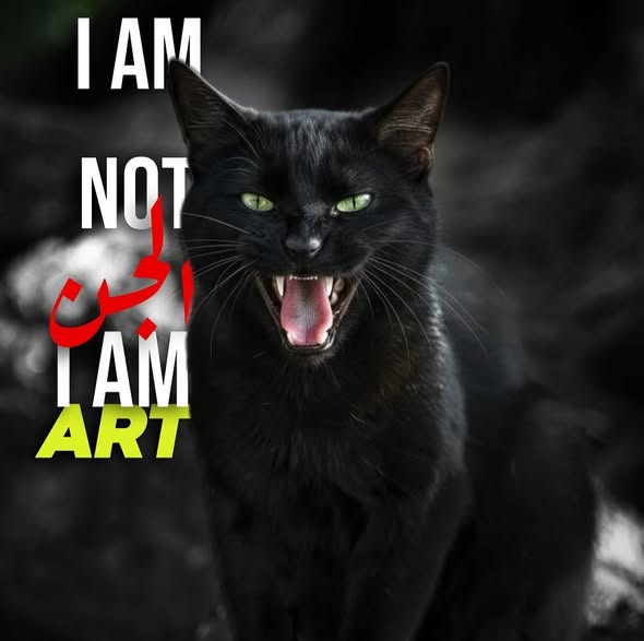 Chat à adopter
