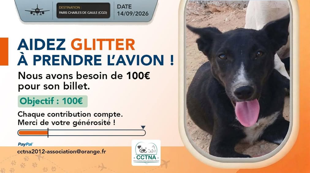 Glitter — تبني الحيوانات في تونس صفاقس