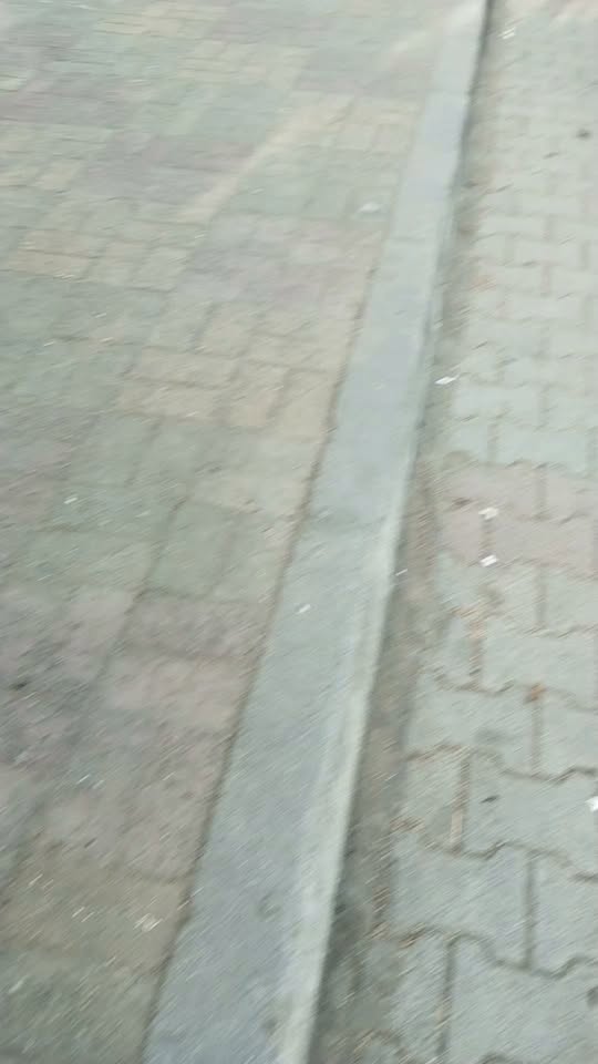 زيزو
