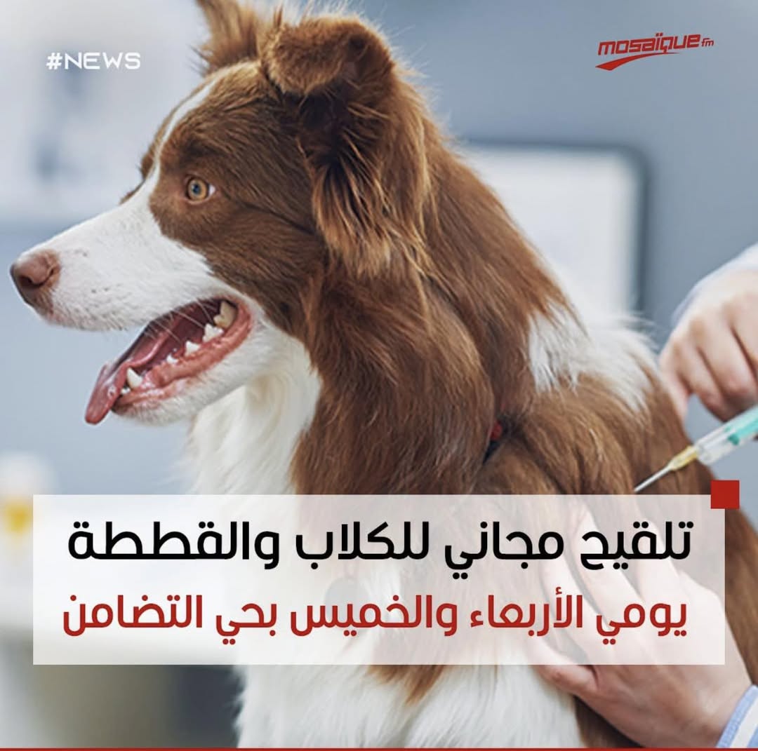 Chien à adopter — تبني الحيوانات في تونس بن عروس
