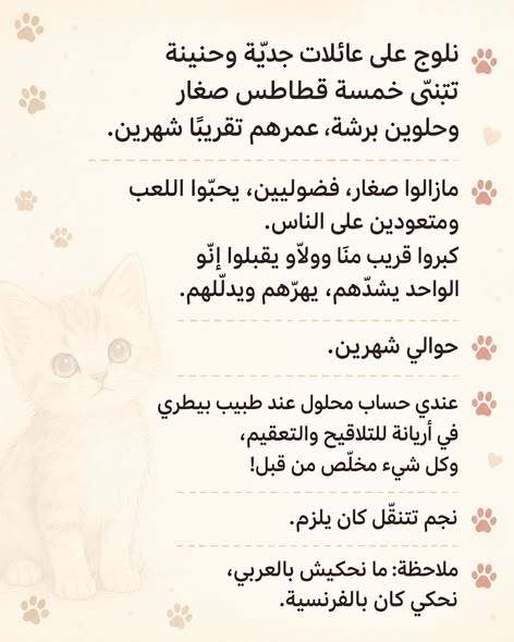 Chat à adopter