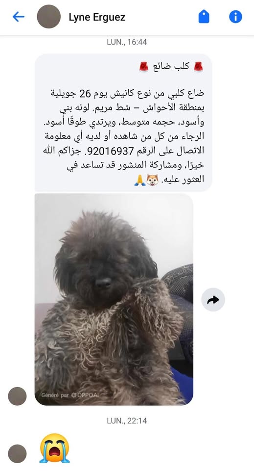 شائع