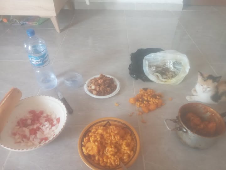 القطوسة