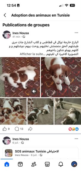 لينا و ليو