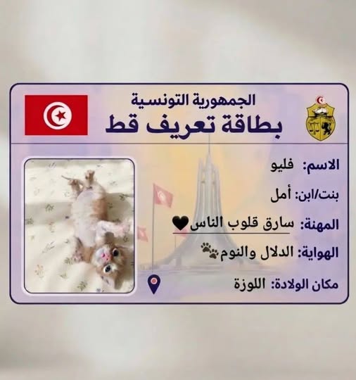 فليو