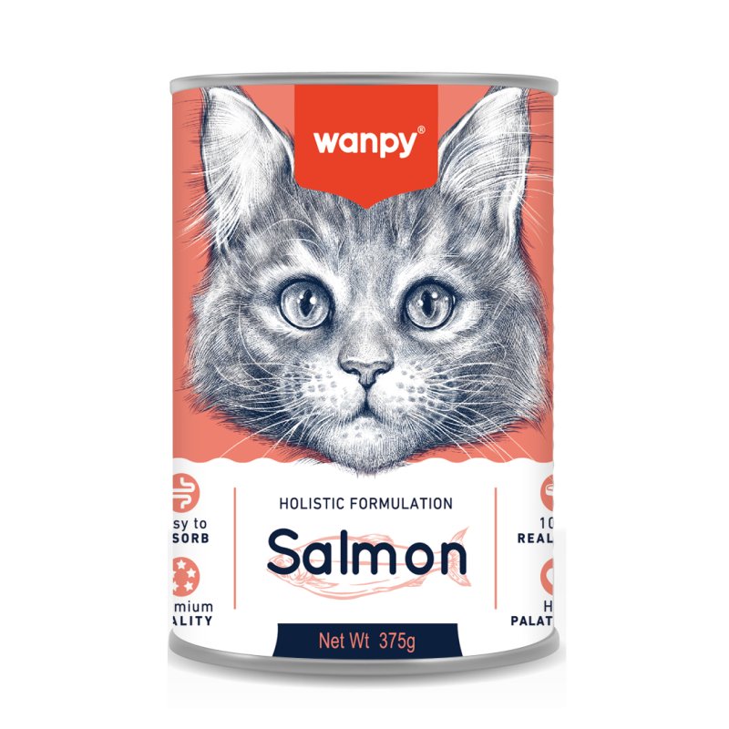 Wanpy Pudding au Saumon pour Chat adulte 375 g