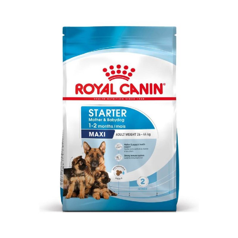 Royal Canin Maxi Starter Mother & Babydog – Croquettes pour chien de grande race – 4 kg