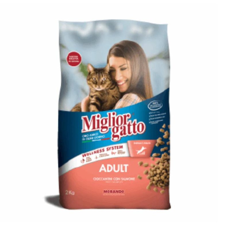 Miglior Gatto croquettes au saumon pour chat adulte 2 kg