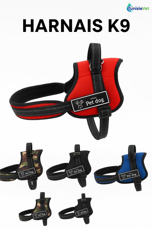 Harnais K9 Ultra – Puissance, Style & Confort pour Chiens Actifs  taille M