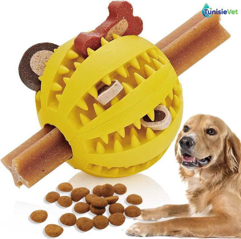Balle à mâcher & distributeur croquette pour chien