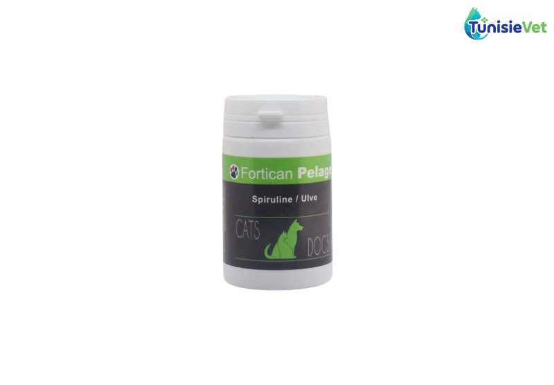 Fortican Pelage – Complément Naturel Spiruline & Ulve pour Chats & Chiens