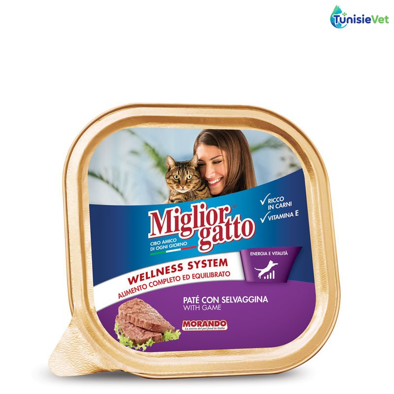 Miglior gatto Barquette Agneau 100 gr