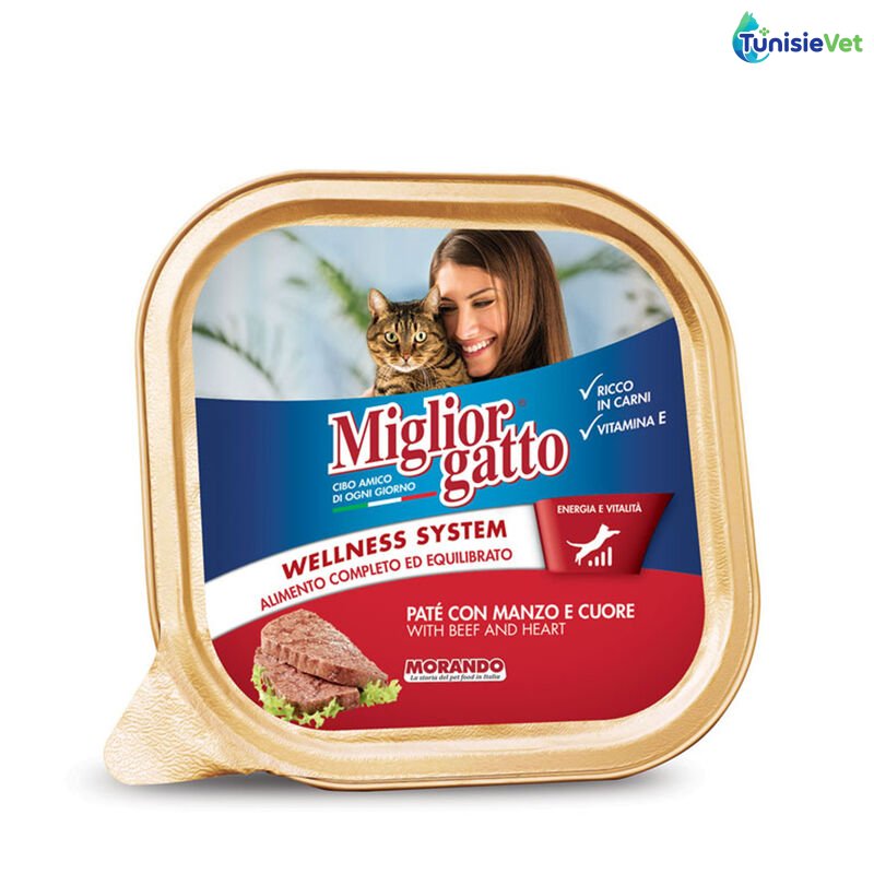 Miglior gatto Barquette Boeuf 100 gr