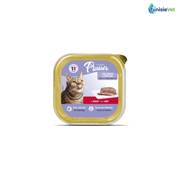 BARQUETTE PLAISIR PATE BŒUF 100 GR