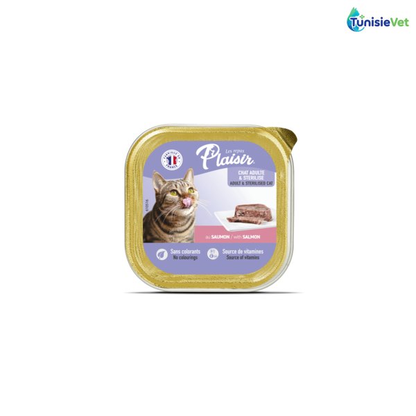 BARQUETTE PLAISIR PATE SAUMON 100GR