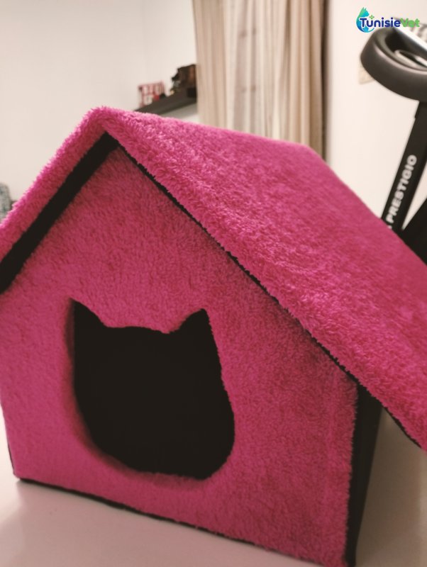 Maison de chat