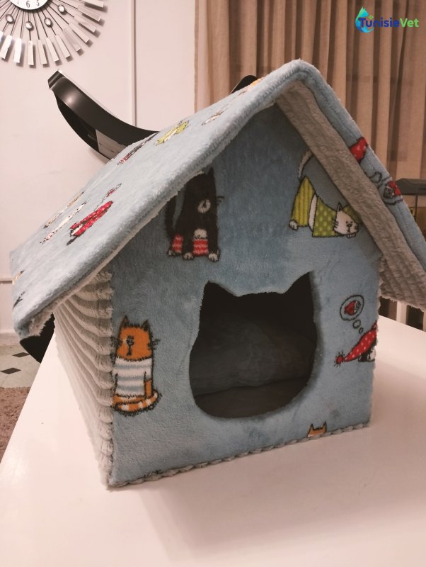 Maison de chat (1)