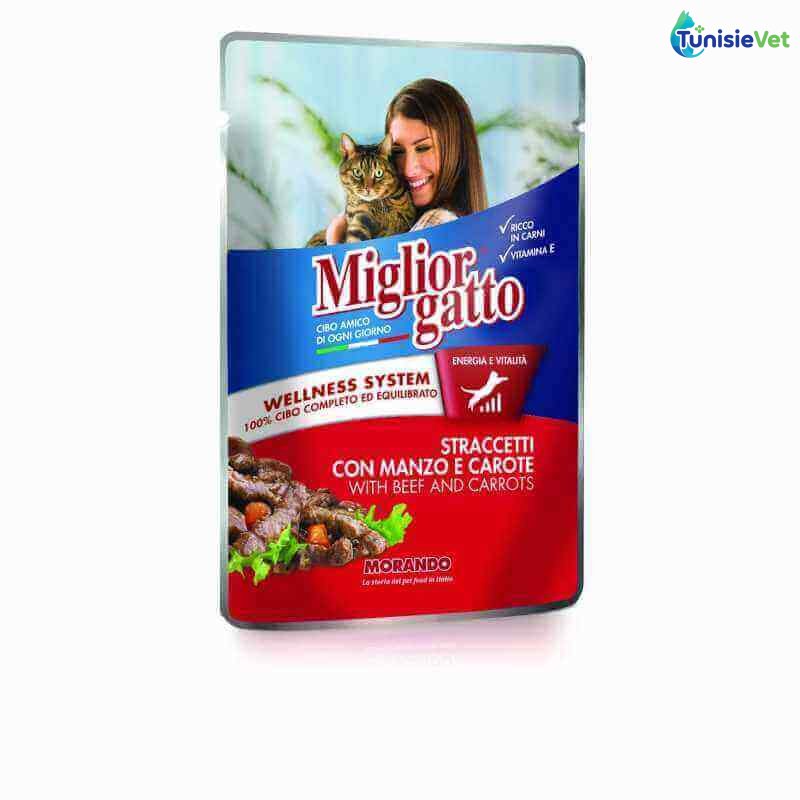 Miglior gatto Pochon Bœuf/ Carottes 100 gr