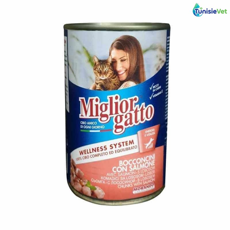 Bouchées Saumon boite 405 gr