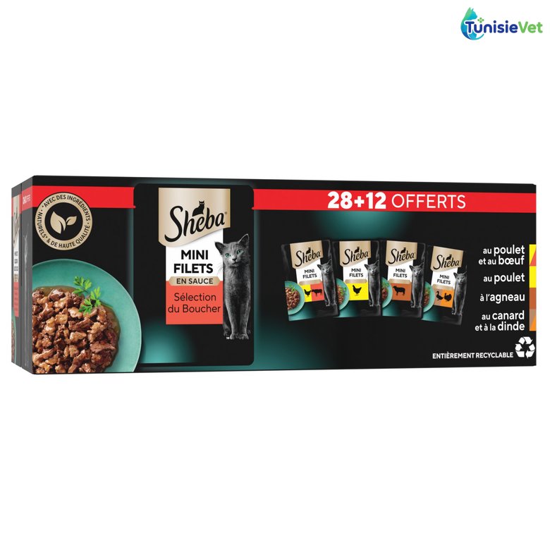 POCHON AU POULET & BOEUF 85GR