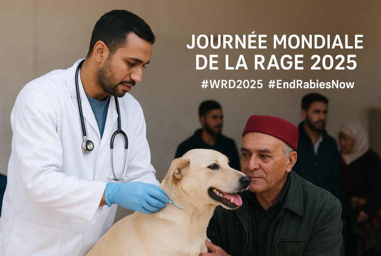 Mobilisation exceptionnelle des vétérinaires tunisiens : Ensemble pour éradiquer la rage en 2025 🐾