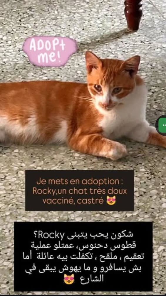 Pas de description disponible