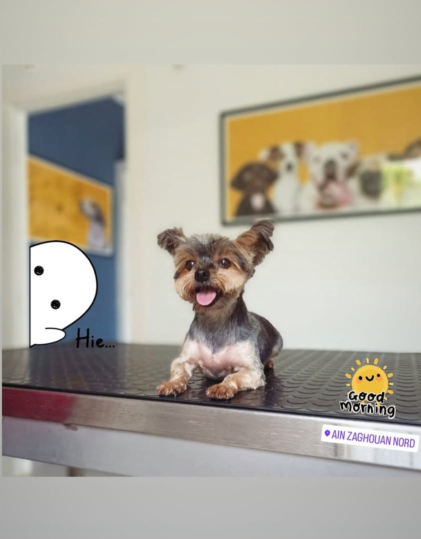 Pas de description disponible