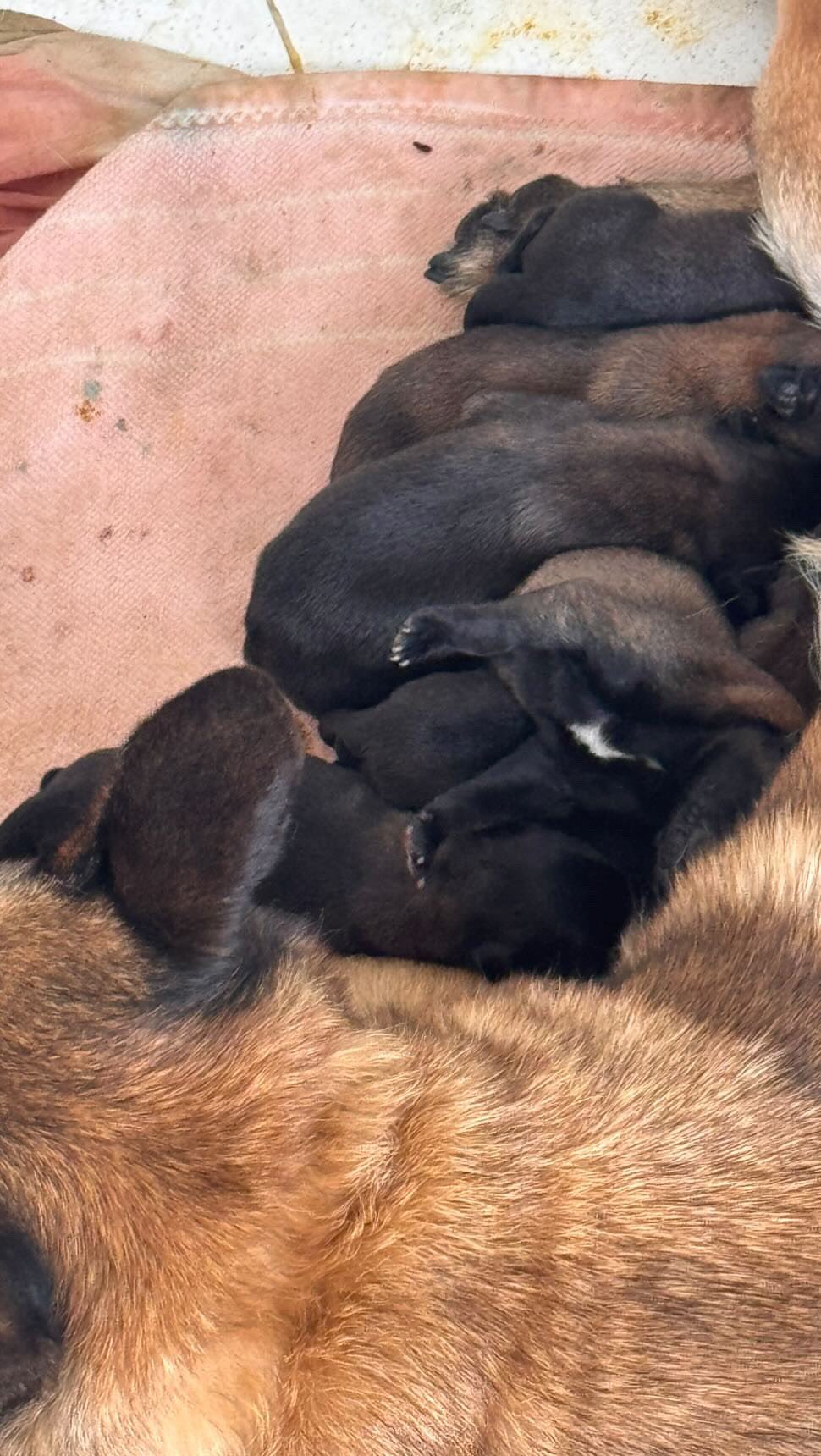 🎉 Des petits cœurs battent dans ce bido...