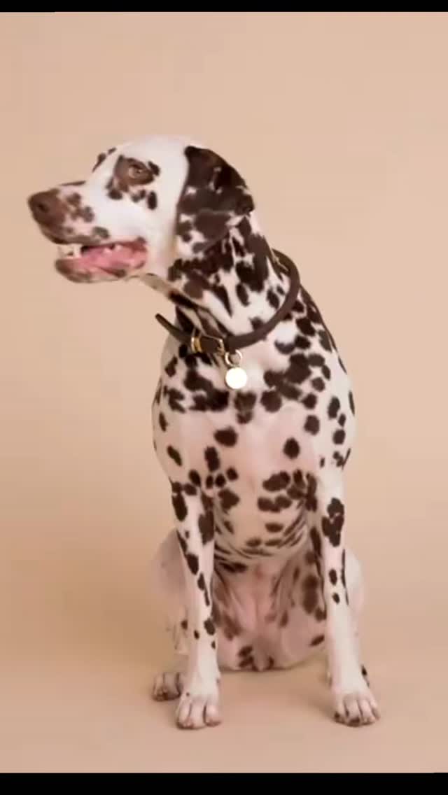 ✨ Coming Soon… 🙈

Restez connectés 🎁...