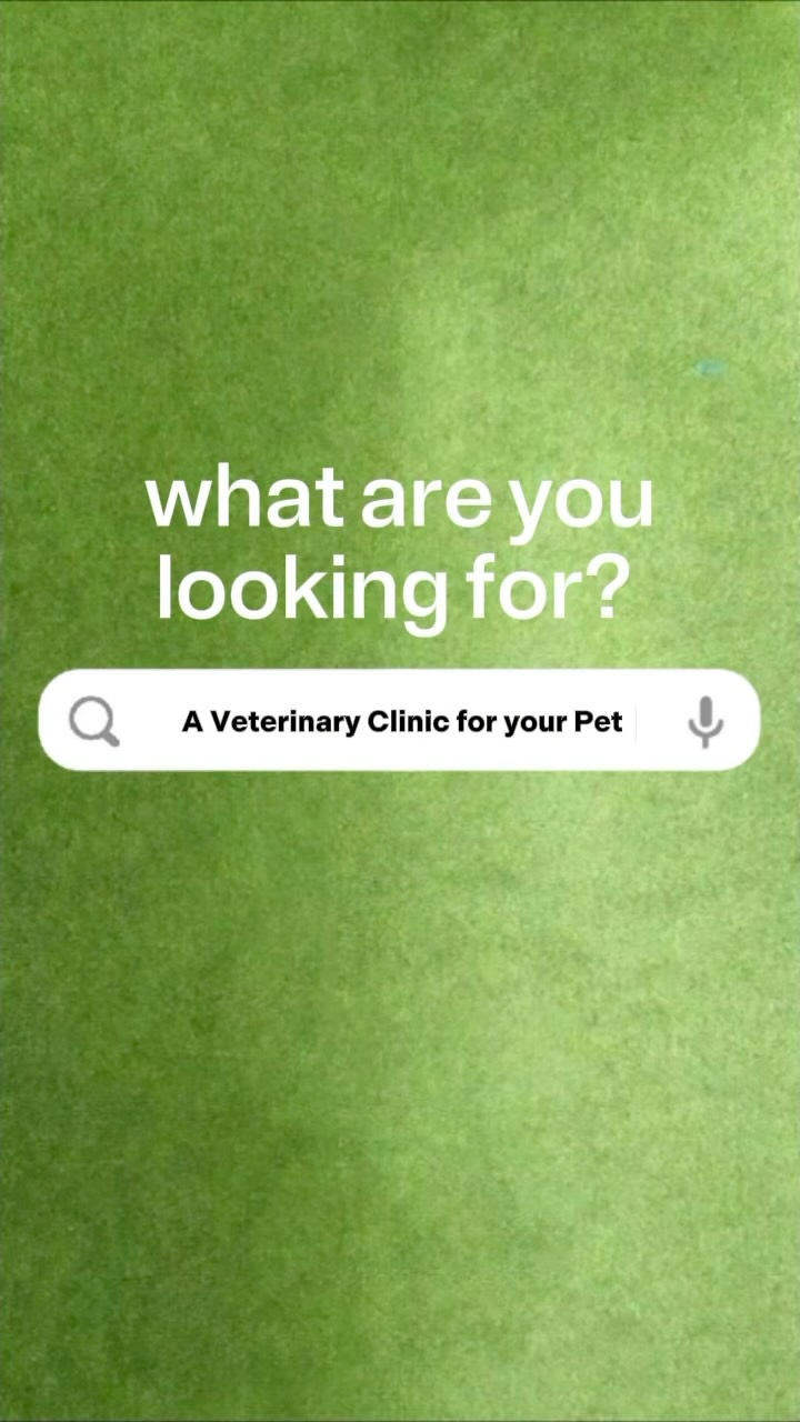 Pet care