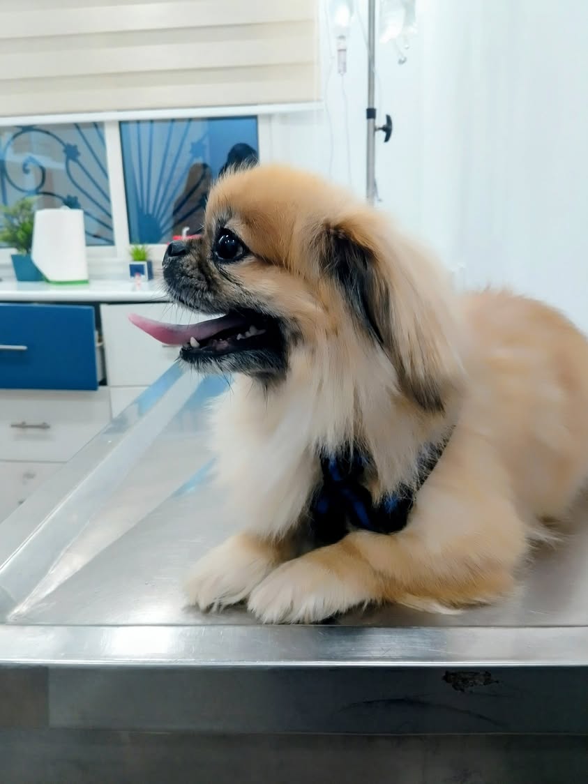 Un très beau sourire 😃
 CESAR ❤️❤️❤️