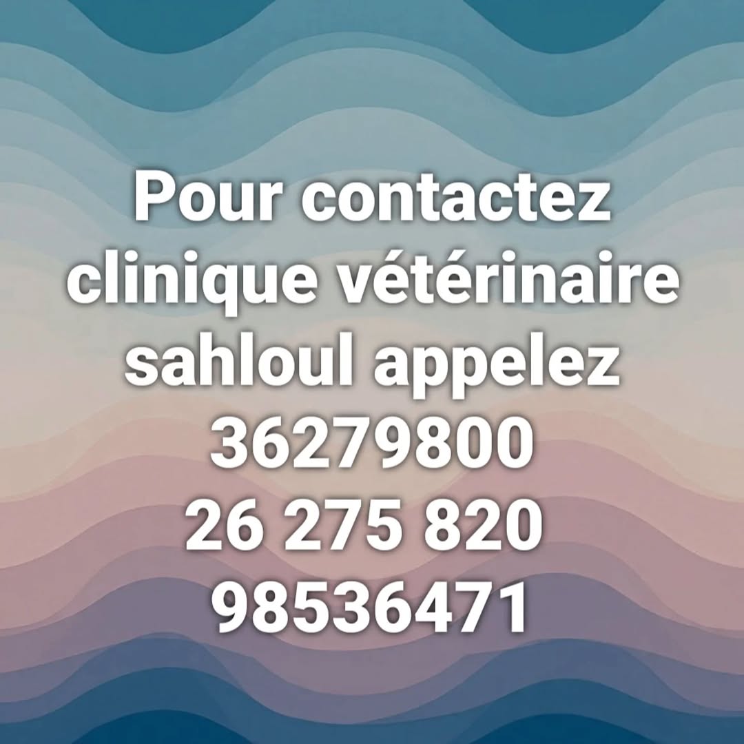 Pas de description disponible