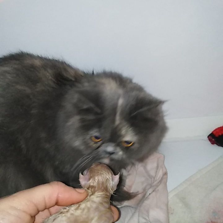 cuteness overload 😍💚😘💚