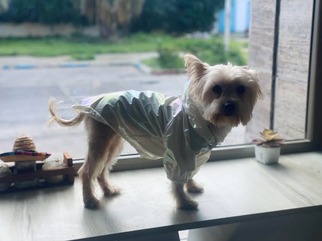 Happy thursday friends 🥰🥰