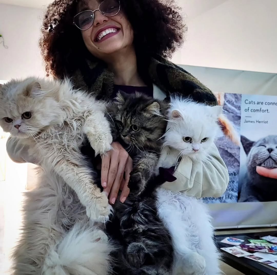 #snowy #sunny #stormy #babycat #mychildr...