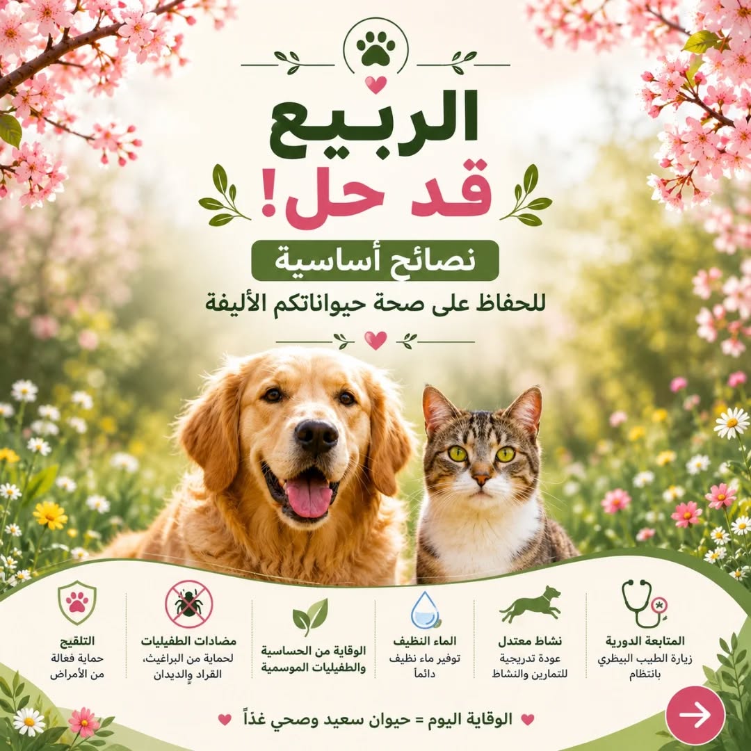 🌸🐾 الربيع فصل جميل… لكنه يحتاج بعض الا...