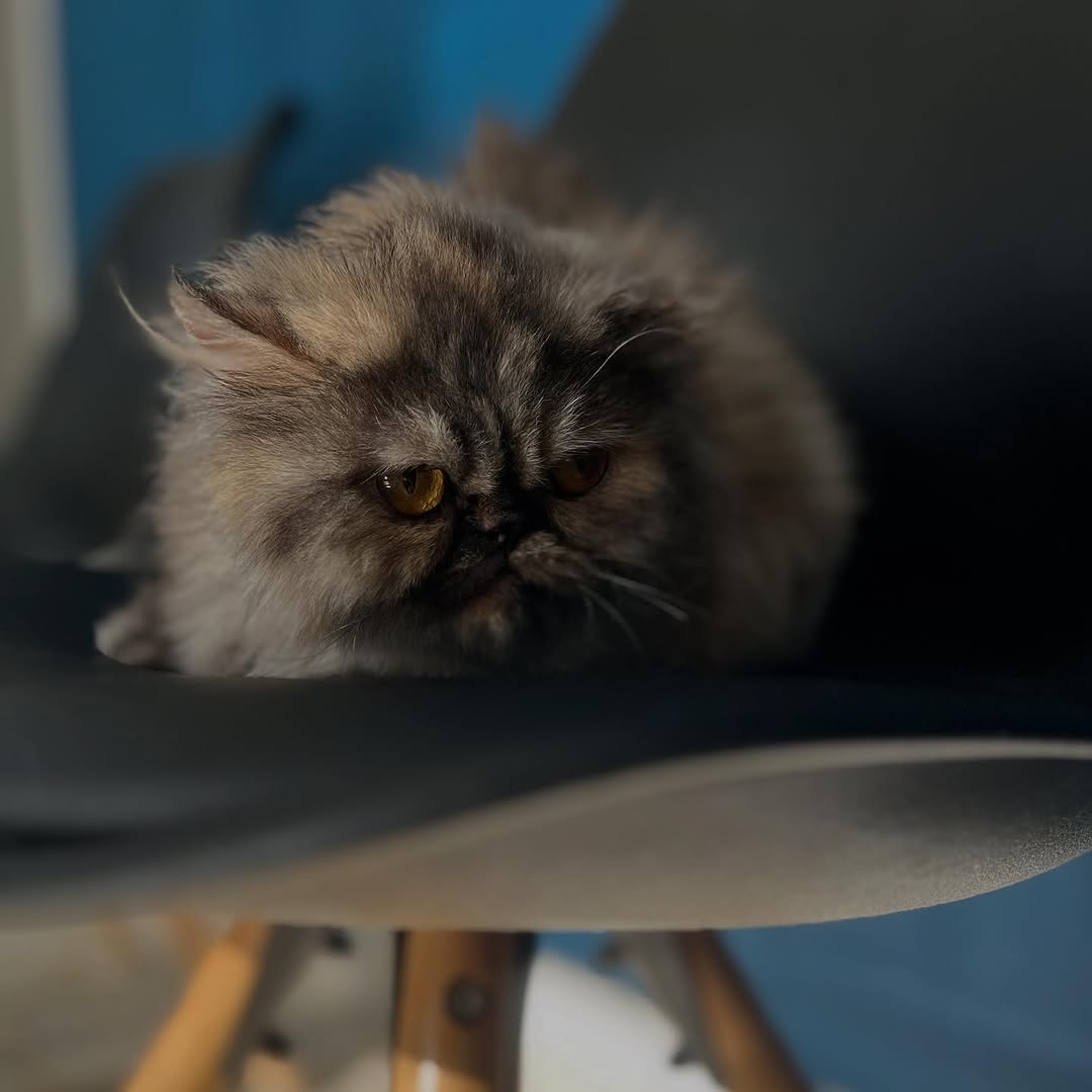 Entre serviette et soleil… elle sait tou...