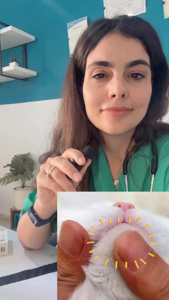 Des points noirs في دقنونة تاع قطوسي ؟؟...