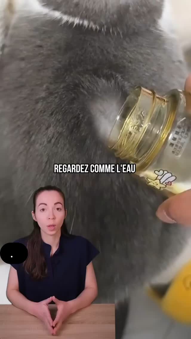 Pas de description disponible