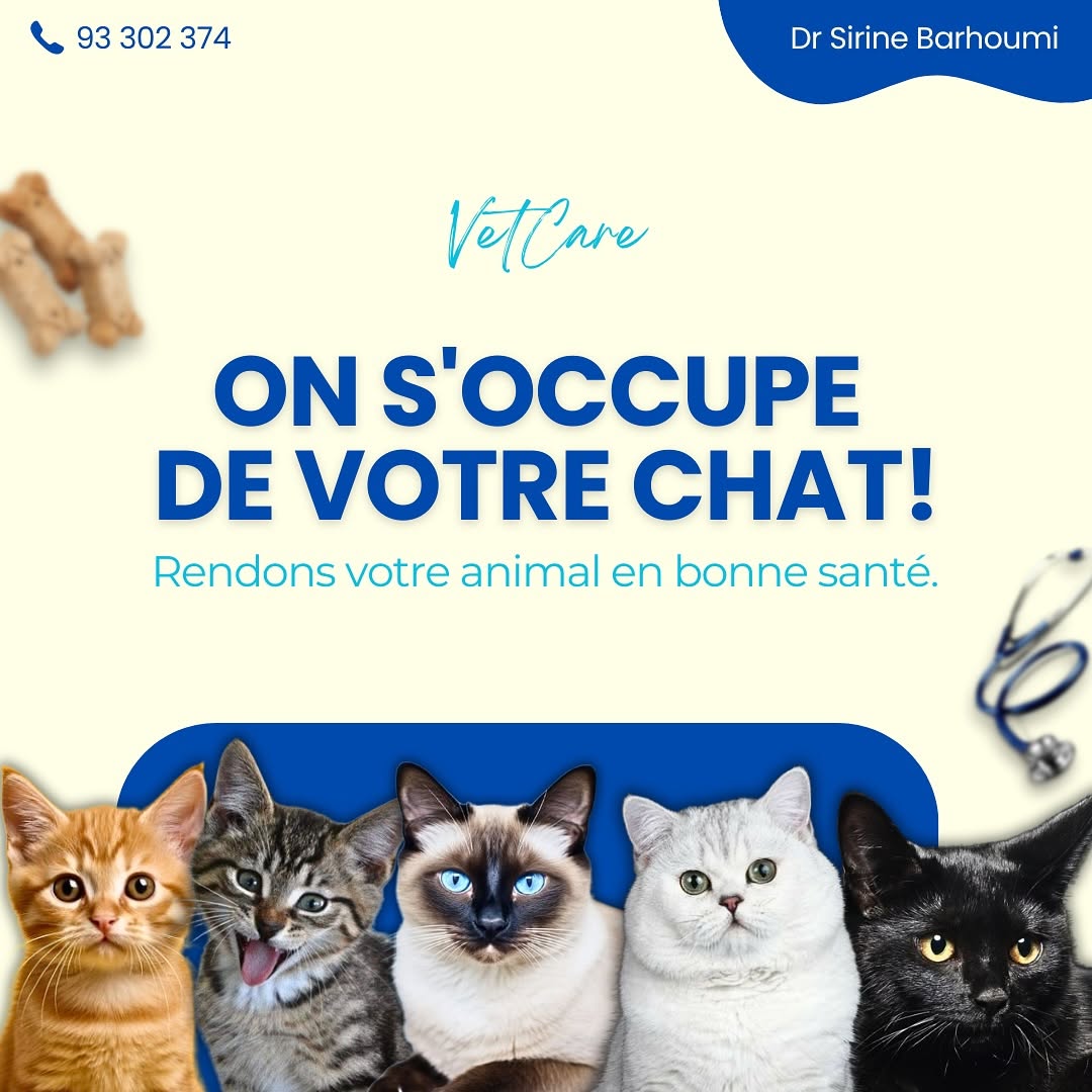 Parce que votre chat mérite le meilleur...