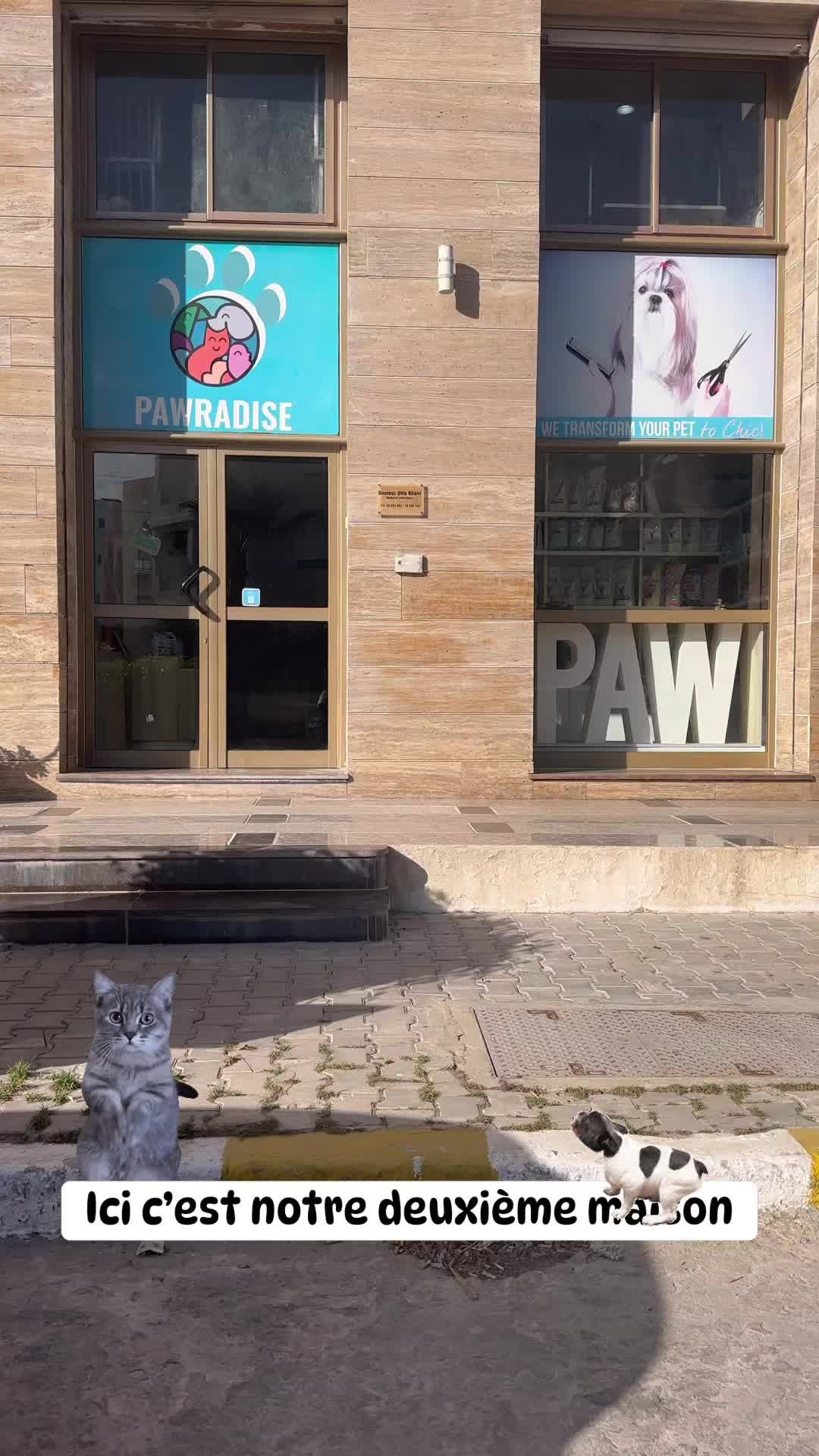 Bienvenue chez Poweradise – Lac 2
Là où...