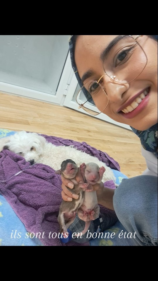 Césarienne en urgence pour LILI