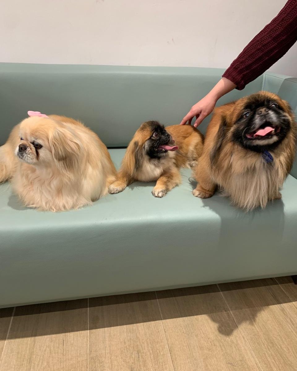 Une famille heureuse et en pleine santé...