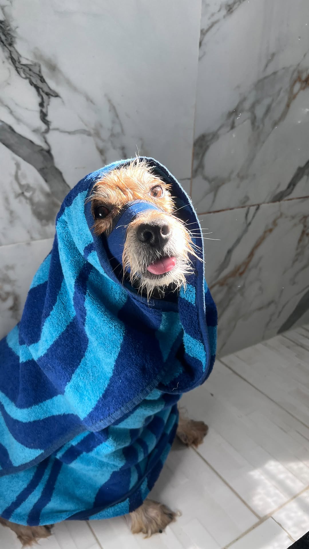 Consultation terminée ✅…maintenant plac...