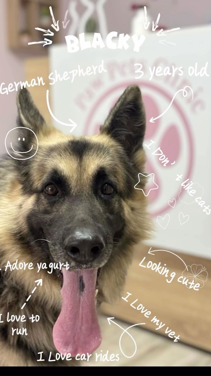 Blacky 🩷🌟