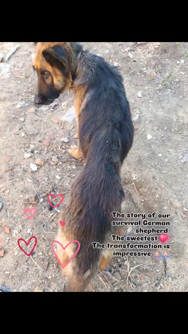 Pas de description disponible